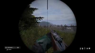 Just dayz things