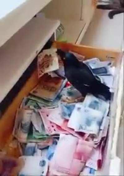 How the government pays their informers