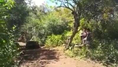 What could have possibly gone wrong