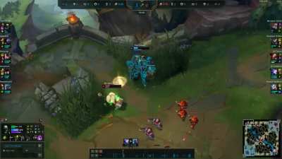 Poppy afraid to use her W and the poor Kitty :(