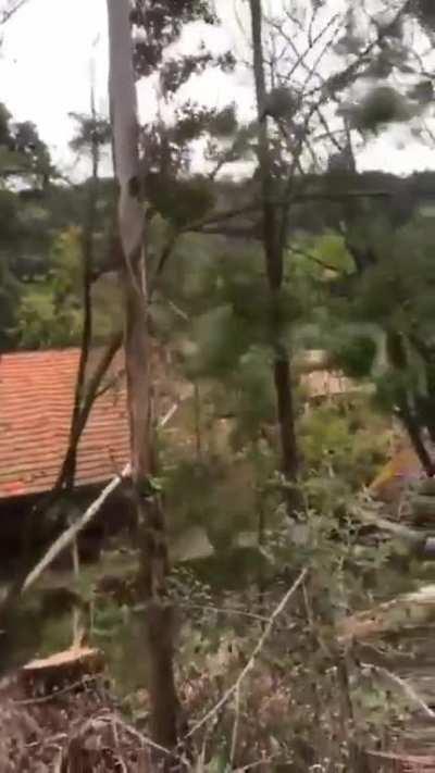 This is how a huge problem begins with your neighbor.