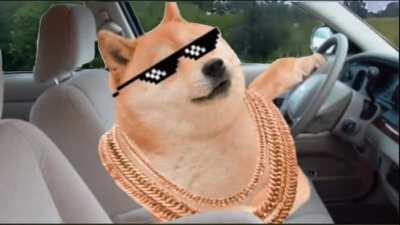 Doge commits vehicular massacre at the pride parade and gets sentenced to life in prison