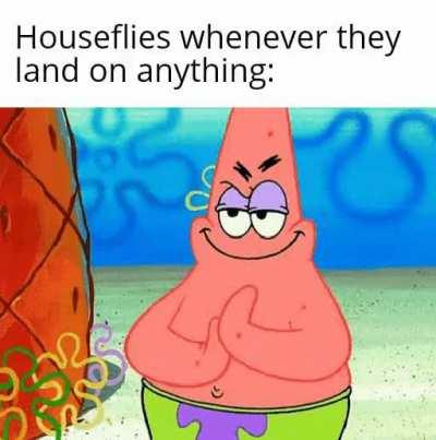 What are they up to?