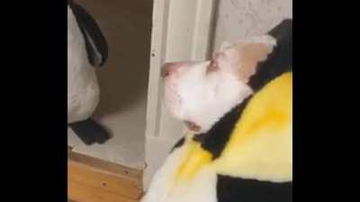 The look on their face is priceless