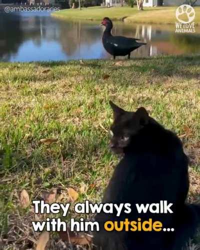 He is so lucky to have been adopted by a family that want to give him his best life