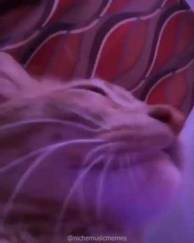 the first half vs. the 2nd half of 