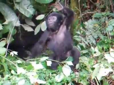 Not enough practice yet