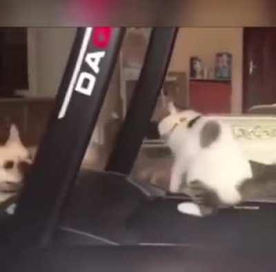 ‎‎‎‎‎‎‎‎