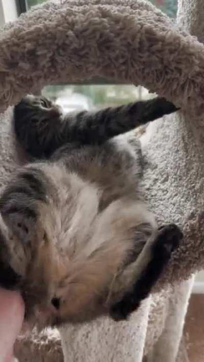 I guess she wasn’t fully awake yet.