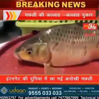 Indian news channels 
