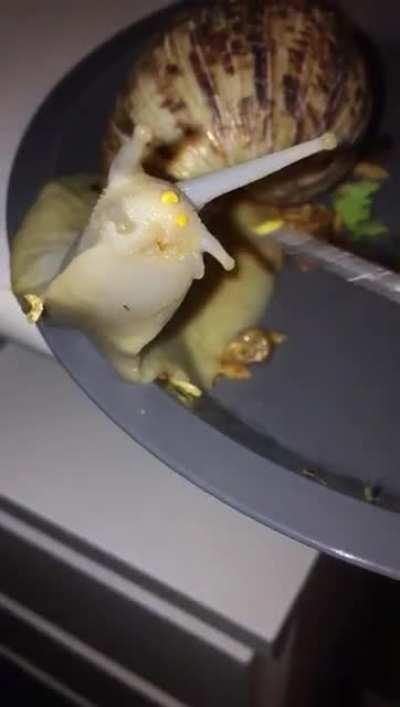 Here comes the airplane