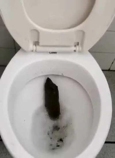 Isso não é um humano!