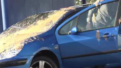 If you look closely you can tell this pigeon isn't real