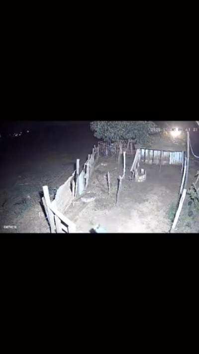 Empoderamento feminino