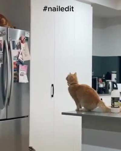 Executing Jump Command