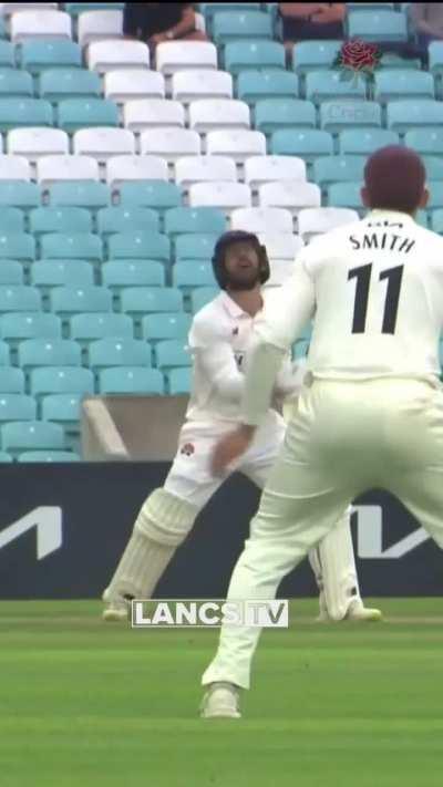 All swing , no ding . What would be the perfect caption for this ?