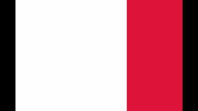 flag of france except its beep block skyway from super mario 3d world
