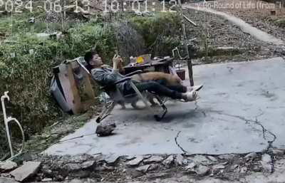 You want some wasps?