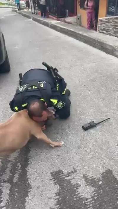 Pit bulls attacks a police officer