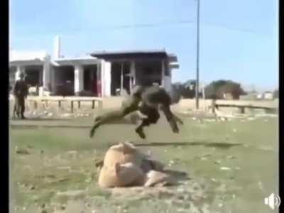 Strongest Greek solider ready for submit warcrimes🇺🇾🤜🏿🇧🇬🇭🇷🇲🇰🇷🇸🇲🇳