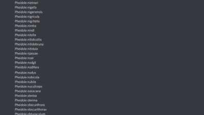 So you own an ant farm?