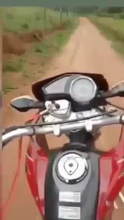 Wheelie on dirt road gets a surprise