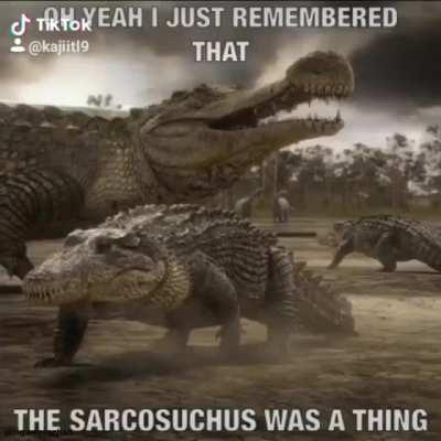 Can anyone tell me the 2nd song? It hits diffirent😳 Genre: Maybe tribal?