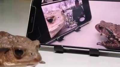 It IS Winsday, my dudes!