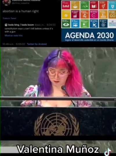 harley quinn version fruna nos avisa que estamos atrasados con la agenda 2030