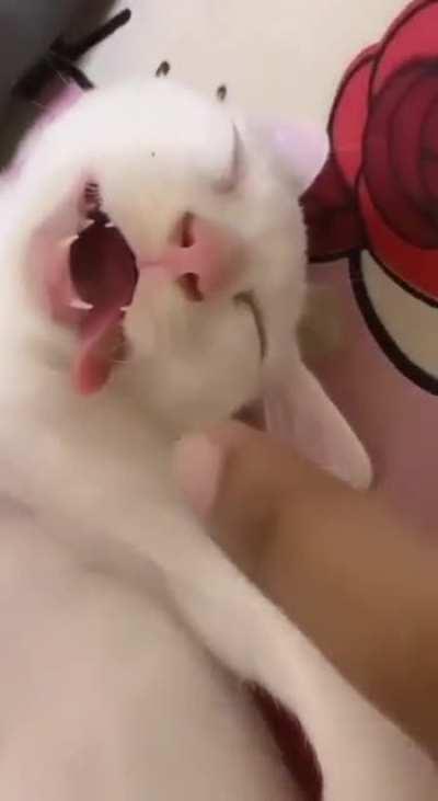 Sweet dreams ðð¥±