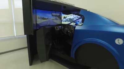 Cuantos tickets habrá que ganar para canjear por el taser de peluche?