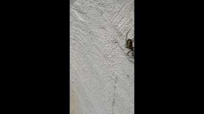 Repost from another thread, made me laugh