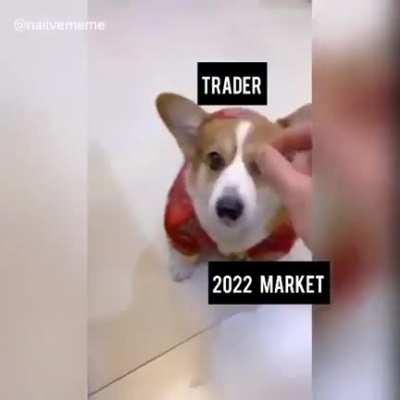2022 market right now?