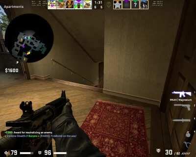 chickens ruining csgo :/