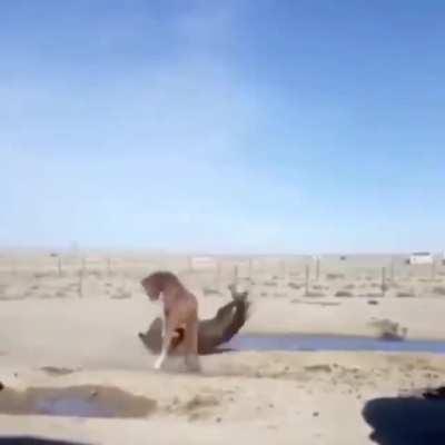 🔥 Whatever it takes