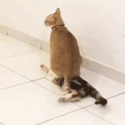 Such a comfortable rug