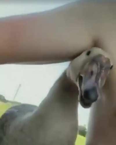 felt like this belonged here