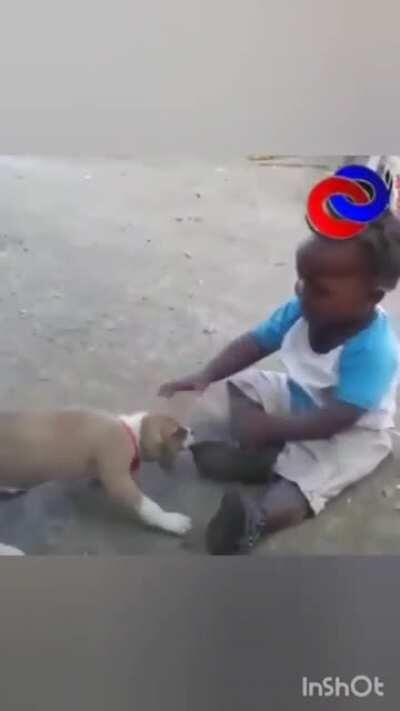 Nunca mais ele chega perto kkkkkkkkk