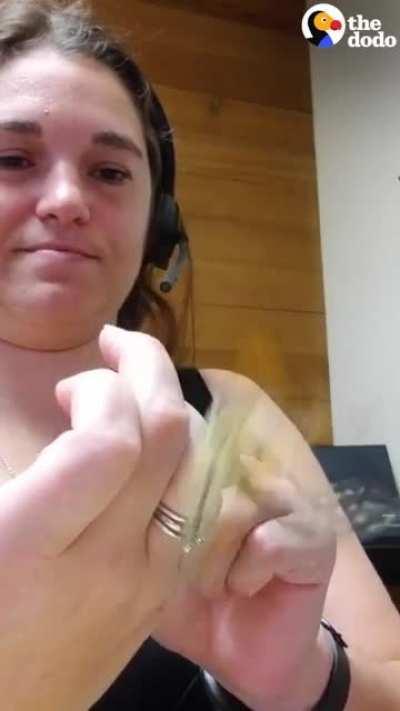 Woman Repairs Butterfly's Broken Wing With A Feather