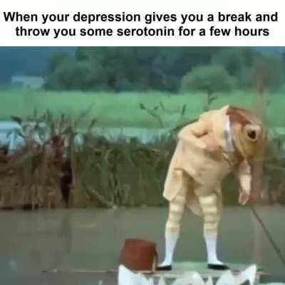 Thank Frog It's Wednesday