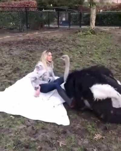 pOoR wOmAn MuRdErEd To DeAtH bY GiAnT bLoOdThIrStY dInOsAuR!!!