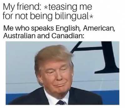 More like Multilingual