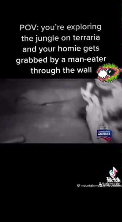 Jungle exploring be like