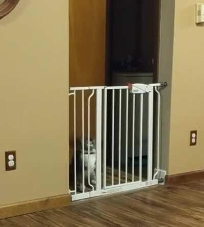 Slight miscalculation!