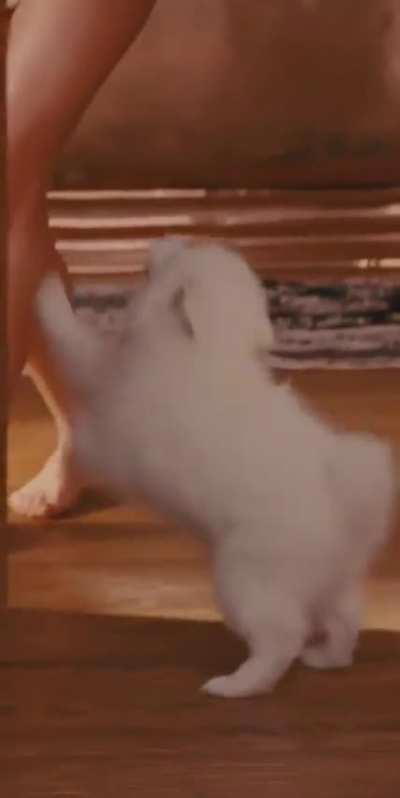 Sandra Bullock in The Proposal 