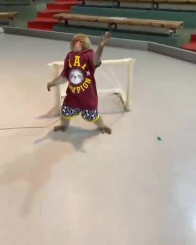 Sports just aren't my thing