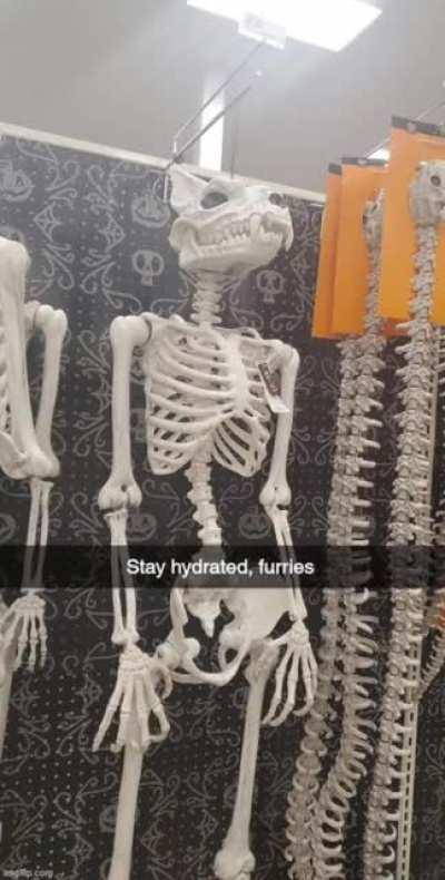 Skeleton_irl