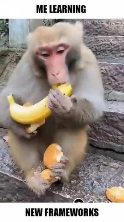 0 days past since the last JavaScript framework launched