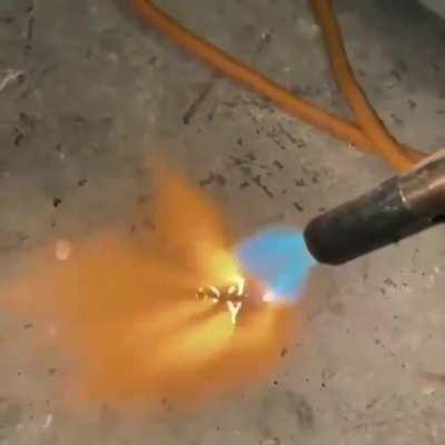 wouldn't wanna be that roach