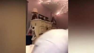 This subreddit just got…